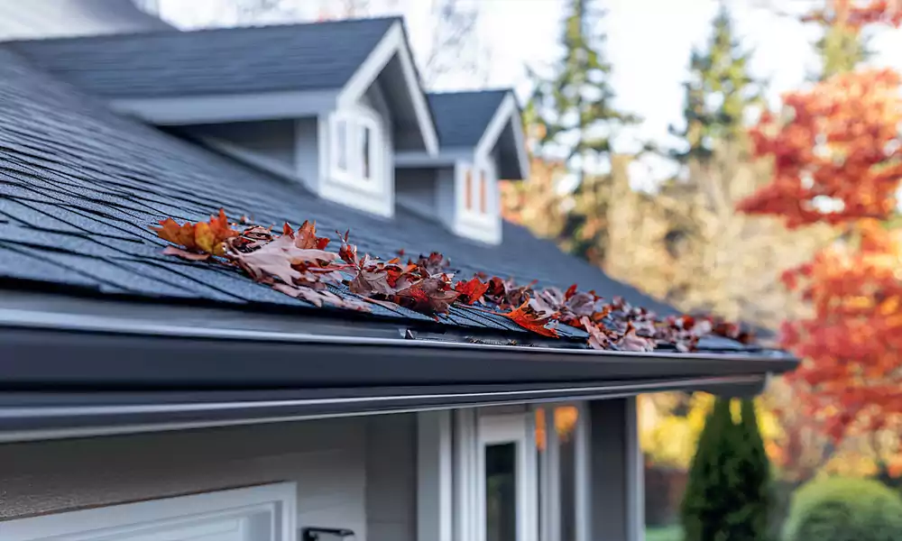 Residential Gutter Expert Vancouver, WA