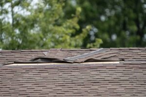 Trusted Roof Leaks Expert in Portland OR