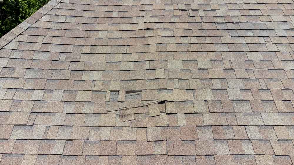 Roof Repair Expert in Beaverton OR